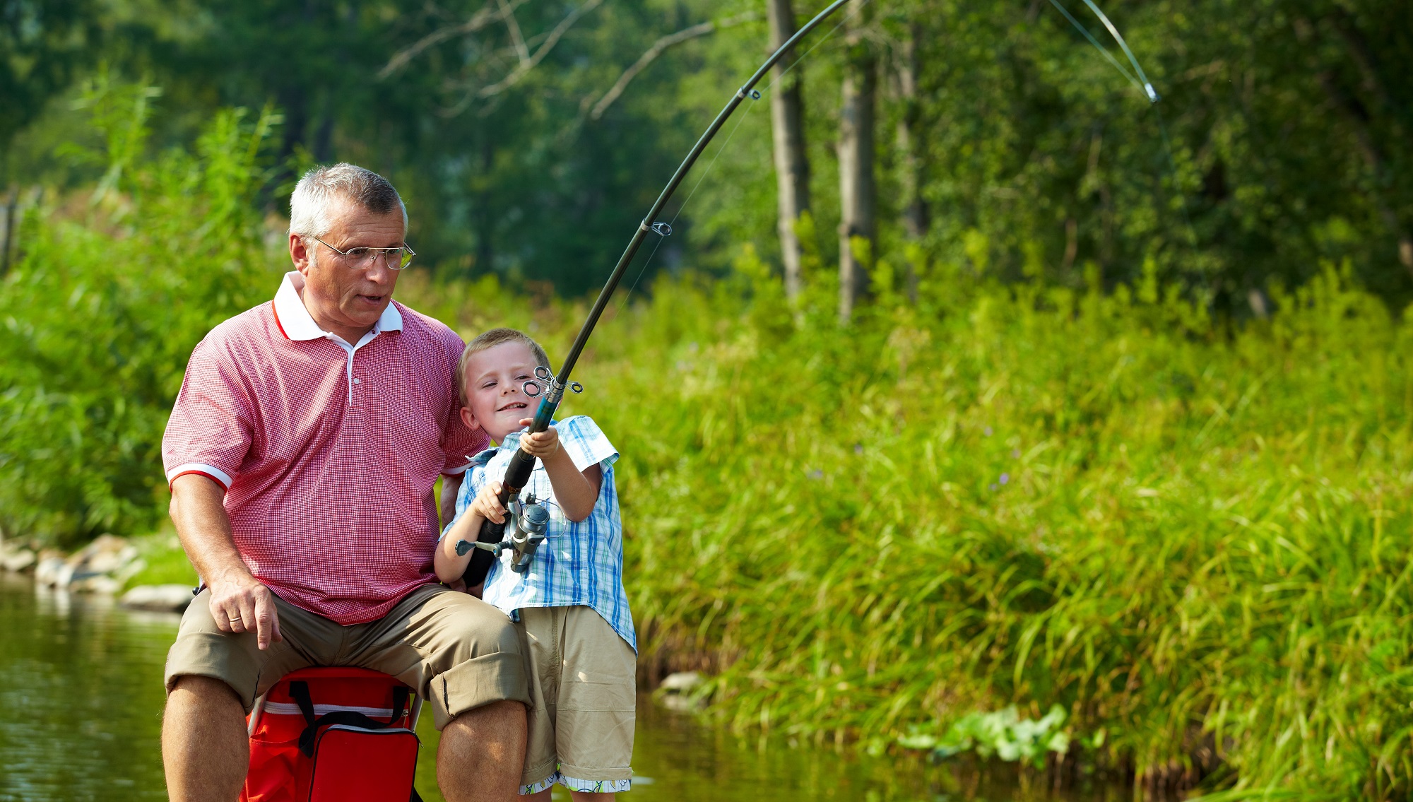 The Impact of the SECURE Act on Retirement Plans