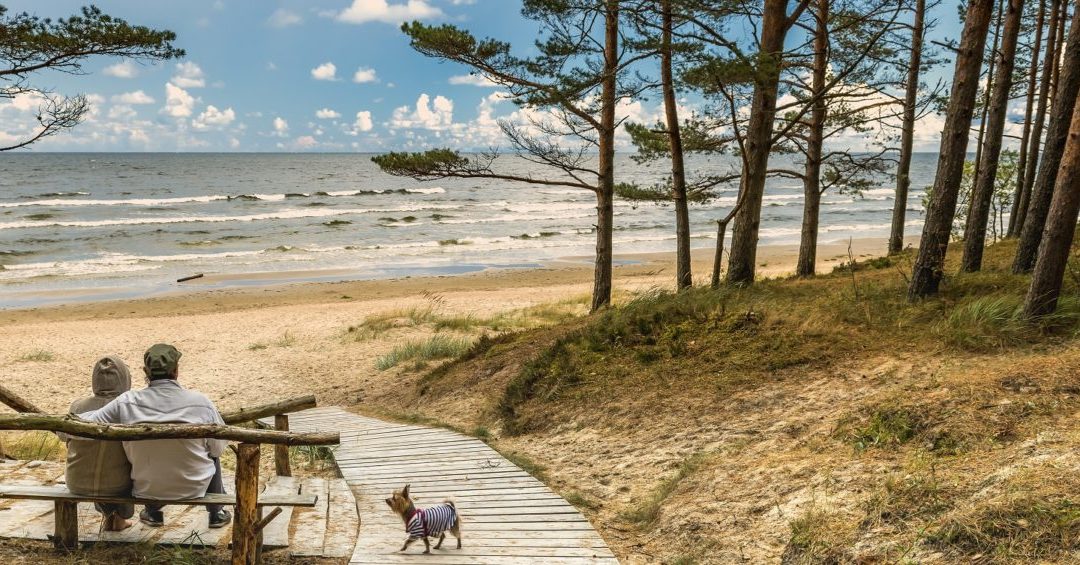 When Can an Estate Be Distributed to Heirs?