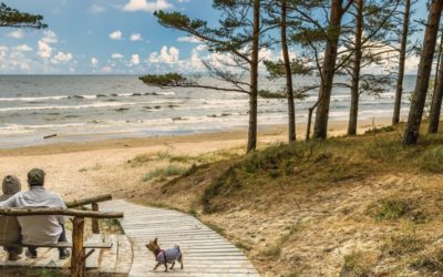 When Can an Estate Be Distributed to Heirs?