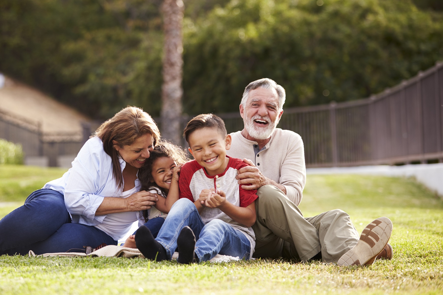 Grandparents sitting on the grass in the park with their grandchildren laughing