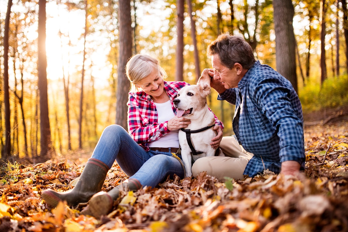 Senior couple with dog on a walk in an autumn forest