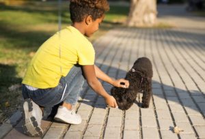 Child in park petting their black dog